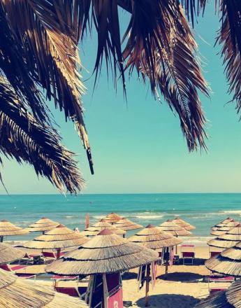 Spiaggia soleggiata con ombrelloni di paglia e palme.